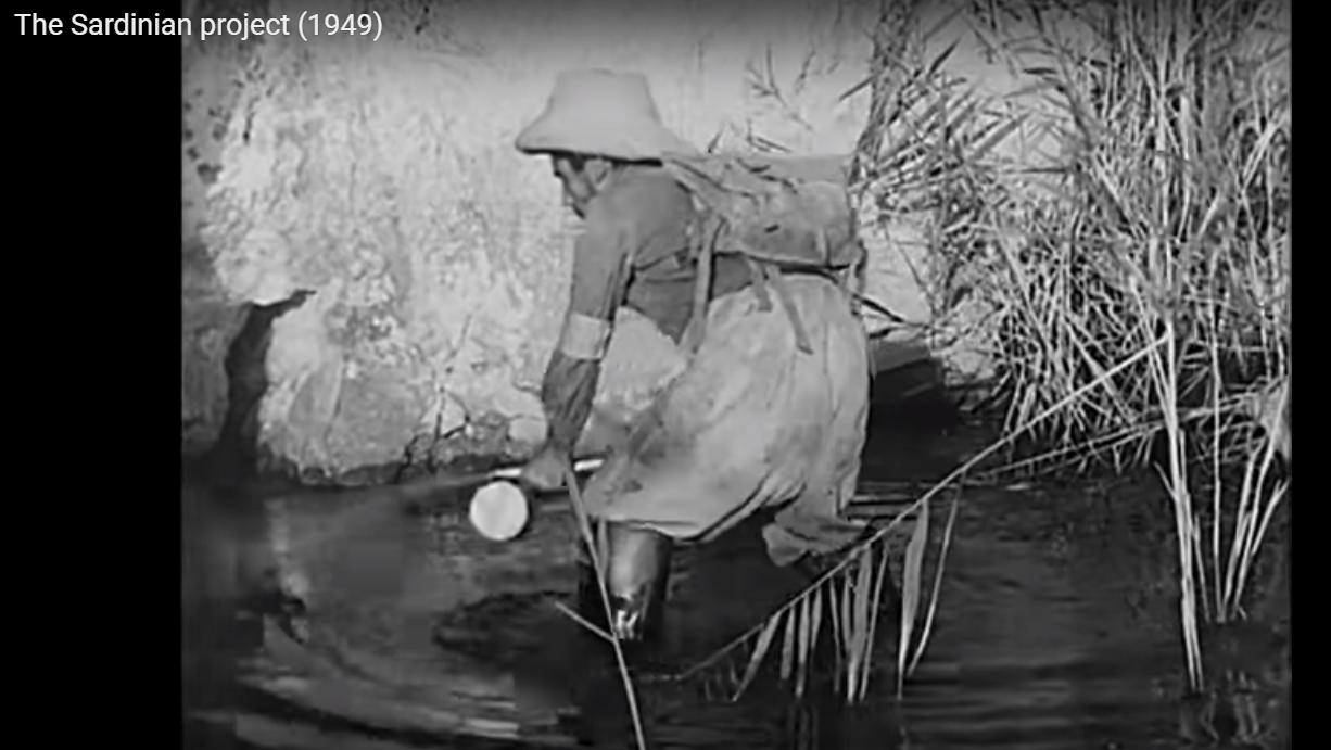 Malaria - The Sardinian Project (005) - DDT contro le larve primavera 1948